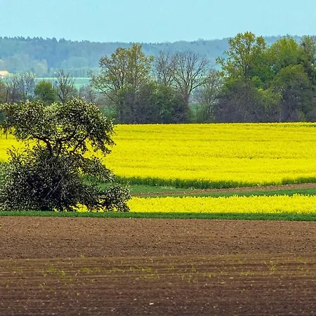 Cztery Luksusowe Na Mazurach, Jezioro Juksty - Sakurarest