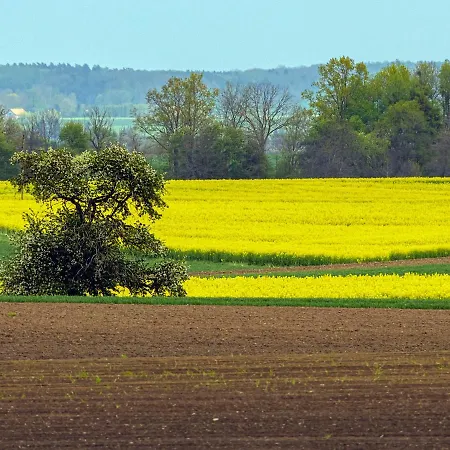 Cztery Luksusowe Na Mazurach, Jezioro Juksty - Sakurarest Villa *