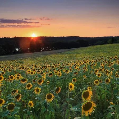 Cztery Luksusowe Na Mazurach, Jezioro Juksty - Sakurarest Sniadowo (Warmian-Masurian)