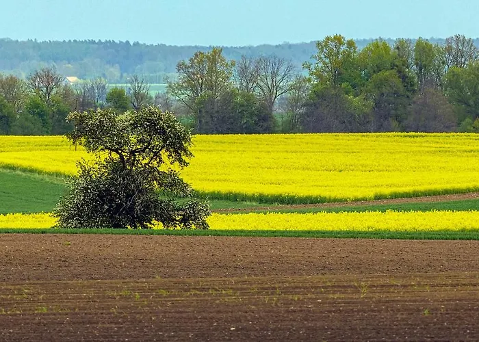 Cztery Luksusowe Na Mazurach, Jezioro Juksty - Sakurarest