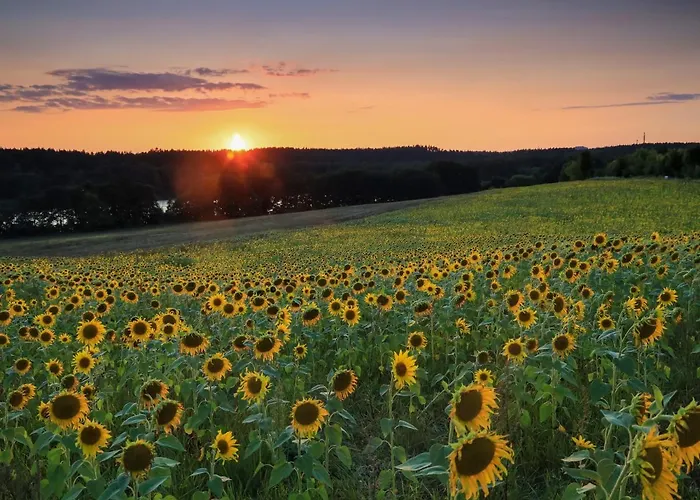 Cztery Luksusowe Na Mazurach, Jezioro Juksty - Sakurarest Sniadowo (Warmian-Masurian)